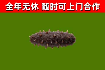 威信烟酒回收干海参.jpg